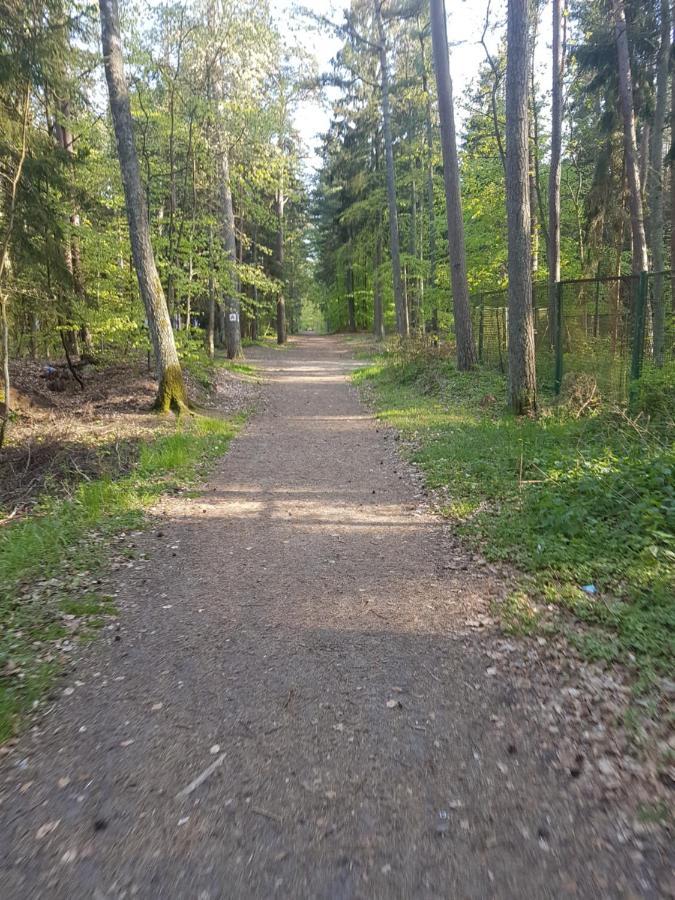 Relax U Agi I Jurka Appartement Stegna  Buitenkant foto